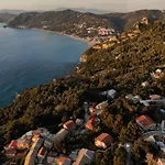 Coralli 2 