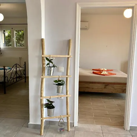 Apartment Coralli 2 